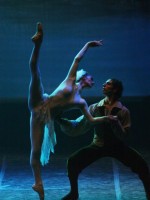 Torino, Teatro Nuovo, 12 XII 2014 (Il Balletto del Sud nel Lago dei cigni)